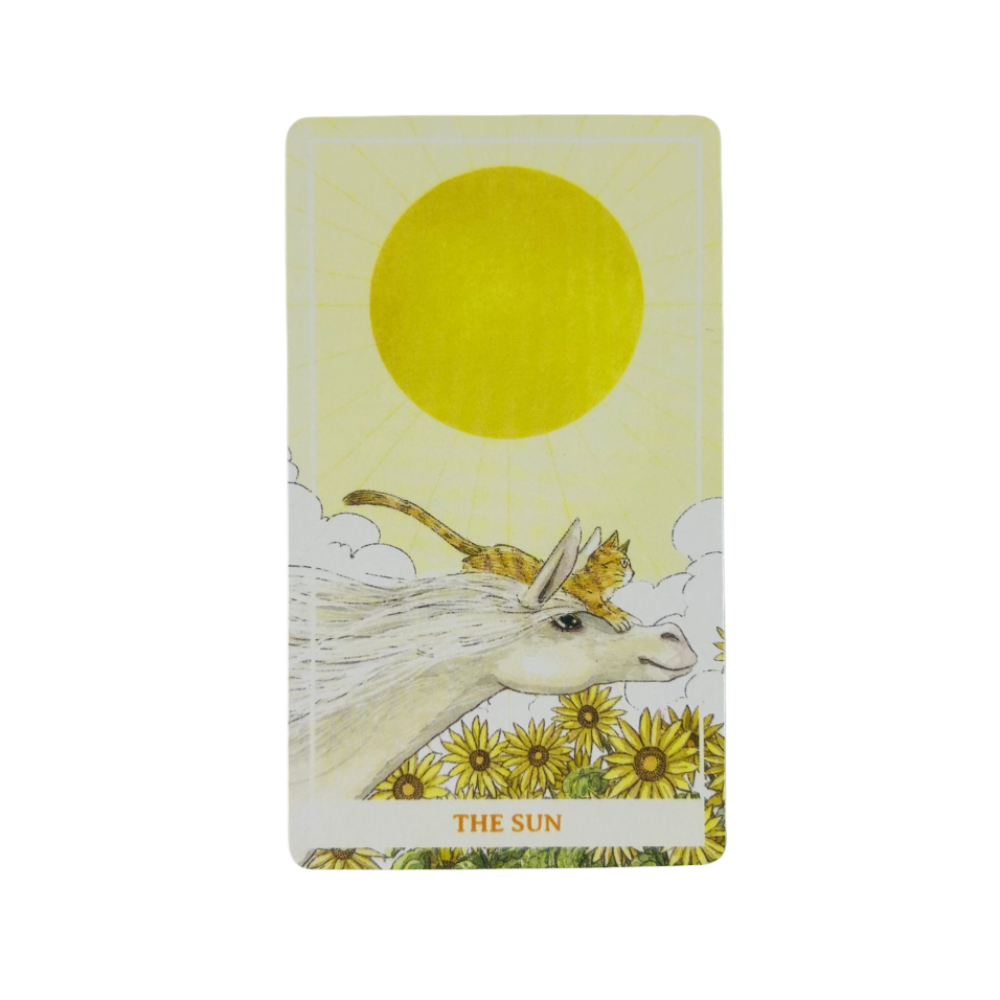 Sunny Orange Cat Tarot Deck A  - Party Games Sunny ulasan dan harga